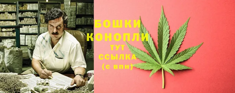 Бошки Шишки Ganja  Ржев 